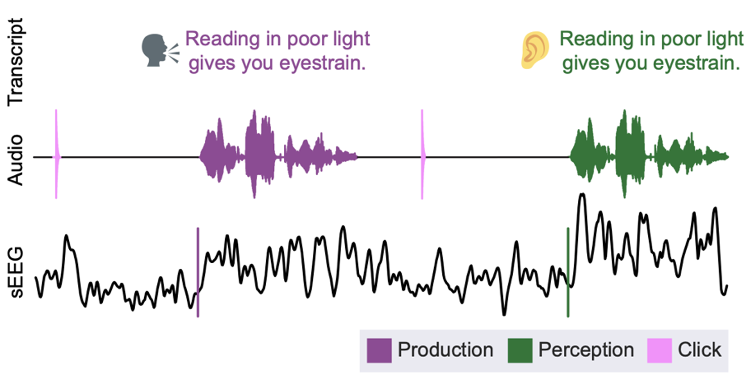 Schematic of reading + playback audio. Participants first heard a click, then read sentences aloud while hearing their own voice. After a second click sound, their own voice was played back to them.